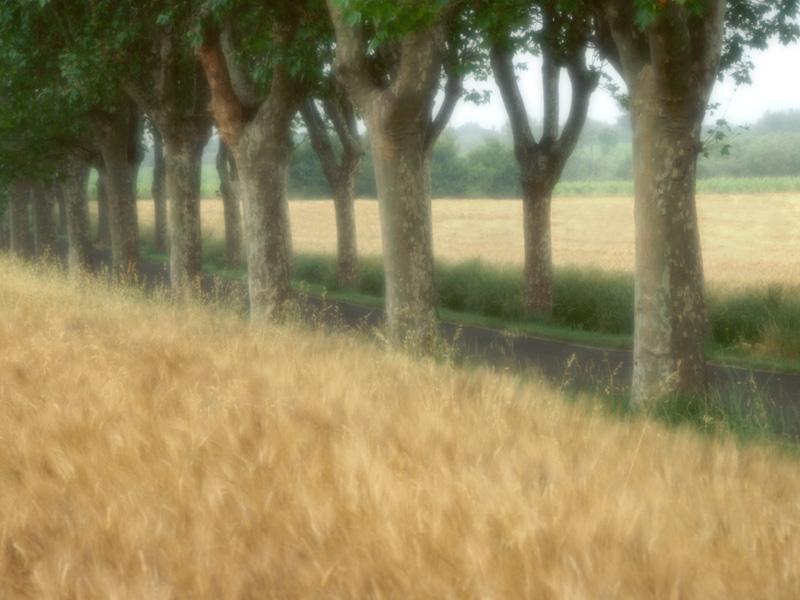Provence