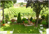 Vacation rental home and vineyards