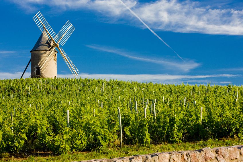 beaujolais vineyard windmill vacation rentals